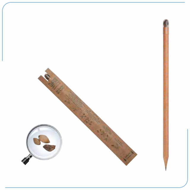 Çevre Dostu Tohumlu Kurşun Kalem PS 40622